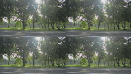 在早晨温暖的阳光下，马路上的公园风景优美，湖旁的草地上长着郁郁葱葱的树叶树。夏日美景。高清在线视频素材下载