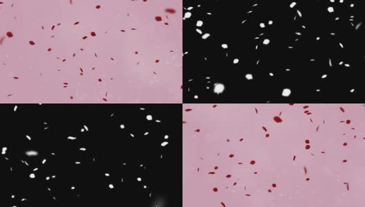 红色缤纷的花瓣玫瑰飞舞在粉红色的背景与颗粒流动，爱情和情人节节日的事件高清在线视频素材下载