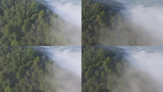 景观模糊全景。梦幻般的日出在岩石山与视野到雾气蒙蒙的山谷下面。福雷斯特上空雾蒙蒙的云。观赏下面的仙景。多雾的森林山。从以上观点。高清在线视频素材下载