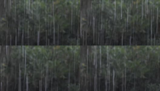 气候，家里和花园里有雷雨和大雨高清在线视频素材下载
