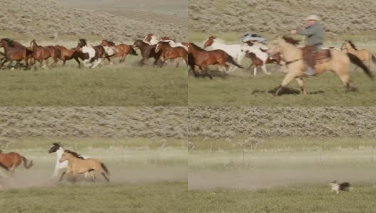 美国犹他州的赛马和牛仔高清在线视频素材下载
