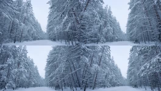 摄影机在美丽的白雪覆盖的森林道路上缓缓移动。冬天的圣诞节气氛高清在线视频素材下载