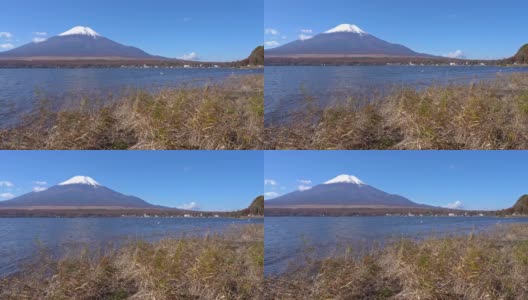 美丽的富士山与枫树在秋天的日本高清在线视频素材下载