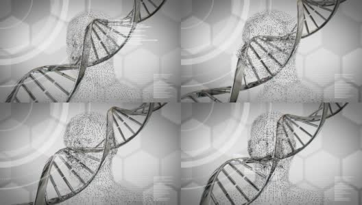 在灰色背景上旋转的DNA链双螺旋上方的数字人头动画高清在线视频素材下载