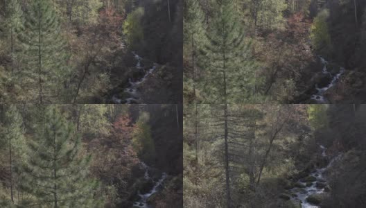 阿尔泰自然保护区鸟瞰图高清在线视频素材下载
