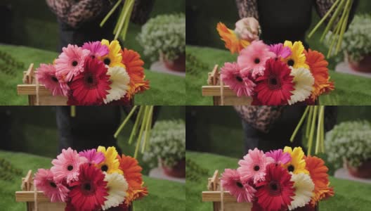 花商收集一个美丽的多颜色的花束高清在线视频素材下载