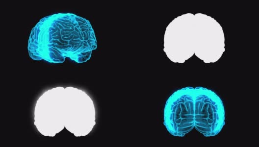 3D人脑扫描和旋转360阿尔法环高清在线视频素材下载