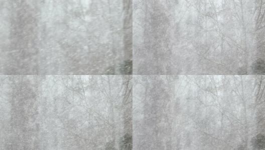 大雪风暴。高清在线视频素材下载