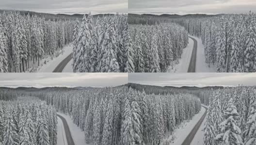 空中的雪道穿过冬天的云杉林高清在线视频素材下载