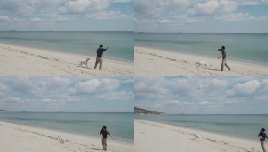 一个年轻人在海滩上和他的狗玩耍高清在线视频素材下载