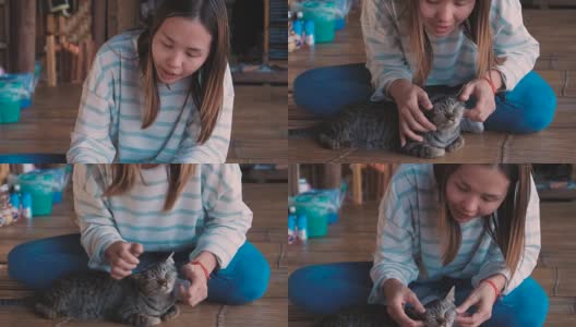 一个亚洲家庭和一只温顺的灰猫玩耍高清在线视频素材下载