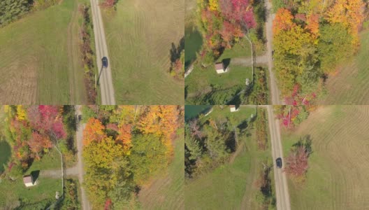 空中的黑色SUV汽车驶过彩色的树木和草地在阳光明媚的秋天高清在线视频素材下载