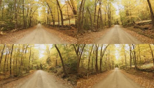 新罕布什尔州苏纳皮湖地区的秋天路高清在线视频素材下载