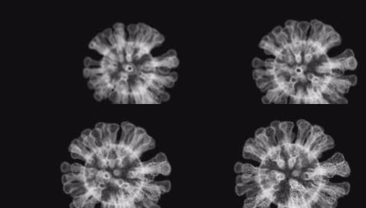Covid-19病毒细胞高清在线视频素材下载