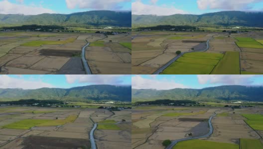 鸟瞰台湾台东美丽的稻田高清在线视频素材下载