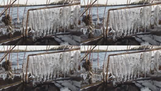 芬兰，当湖面开始结冰时，植物被冰覆盖高清在线视频素材下载