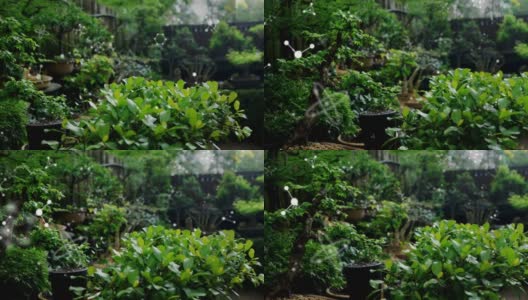 动画分子漂浮在郁郁葱葱的绿色花园高清在线视频素材下载