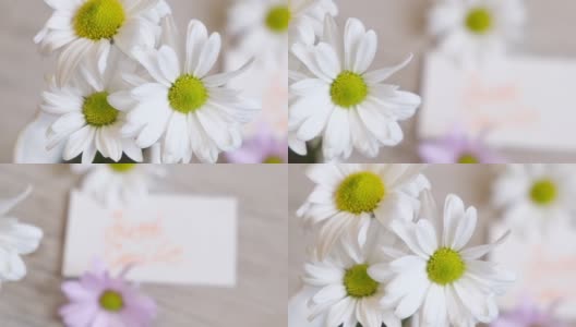 夏花之洋甘菊。夏天的花束在白色花瓶和卡片的信息只是微笑。摄像机运动高清在线视频素材下载