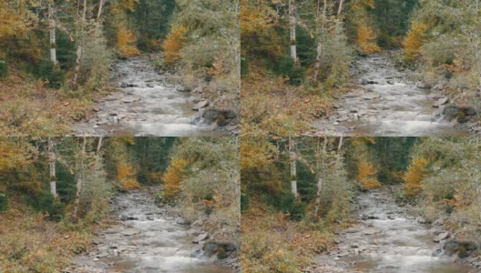 喀尔巴阡山脉中湍急而寒冷的Cheremosh溪高清在线视频素材下载