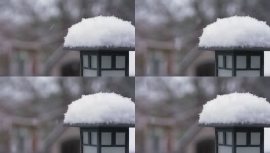 后院下雪了高清在线视频素材下载