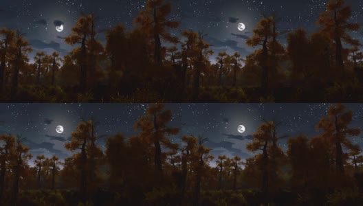 阴森森的夜森林里的满月高清在线视频素材下载