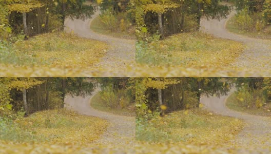 树叶飘落在路上的慢镜头高清在线视频素材下载
