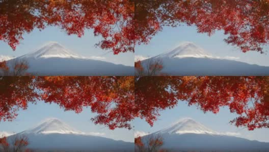红红的枫叶在富士山和晴朗的天空中移动。模糊或失焦样式高清在线视频素材下载