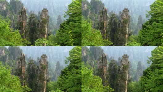 中国张家界武陵源阿凡达山的垂直悬崖。4K高清在线视频素材下载