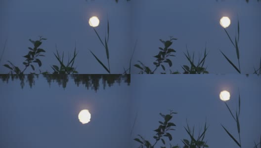 芬兰的荒野湖-月光下的夜晚感受高清在线视频素材下载