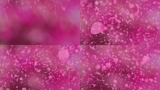 百万朵粉红色的樱花落下，模糊了深粉色的背景高清在线视频素材下载