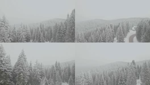 穿过冬季森林的路在山上高清在线视频素材下载