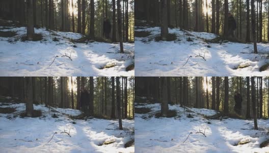 在一个阳光明媚的日子里，一名年轻的男游客正走在山间森林的小路上。快乐的人穿过松树，享受冬季旅行。美丽的风景作为背景。假期的概念。慢动作高清在线视频素材下载