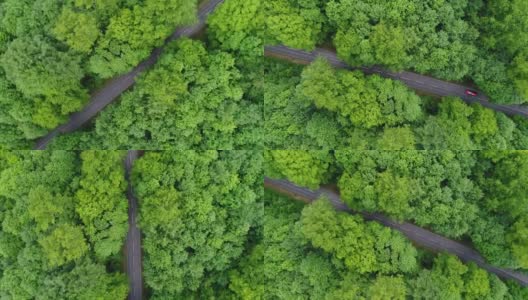 在春天穿过森林的路高清在线视频素材下载