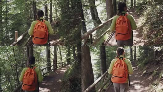 女背包客走在森林小径上高清在线视频素材下载