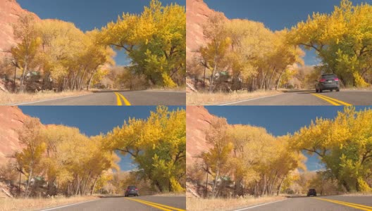 黑色的越野车穿过秋天的黄树隧道在红色的岩石峡谷高清在线视频素材下载