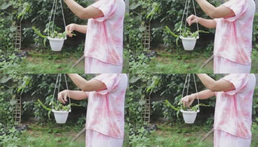 女手捧花盆，植物养护理念高清在线视频素材下载