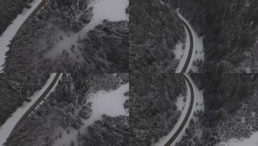 飞越北部冬季森林上空，鸟瞰图高清在线视频素材下载