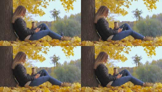 一名女子在秋叶黄叶旁坐在树上，用4k手机高清在线视频素材下载