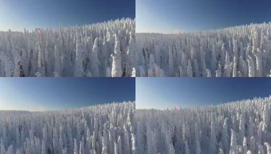 芬兰拉普兰航空镜头-大雪森林高清在线视频素材下载