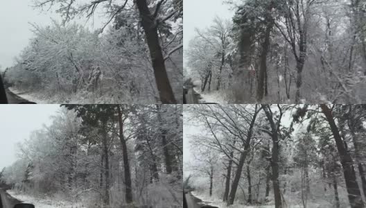 冬季森林。雪里的树。汽车在柏油路上行驶。高清在线视频素材下载