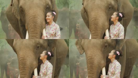 温柔的年轻迷人的亚洲女人在传统服装与大象。理念:爱动物，温柔，爱自然。高清在线视频素材下载