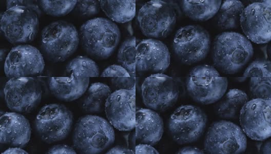 蓝莓高清在线视频素材下载