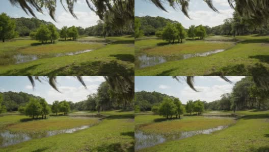 美丽的公园在河口与草木高清在线视频素材下载