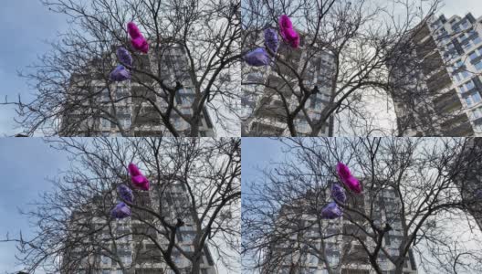 气球被困在树上，氦气球被困在光秃秃的树枝上高清在线视频素材下载