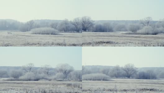 远处草木结了冰的田野被霜和雪覆盖着，在霜冻的清晨被太阳照亮。空气中有霜冻的薄雾。高清在线视频素材下载