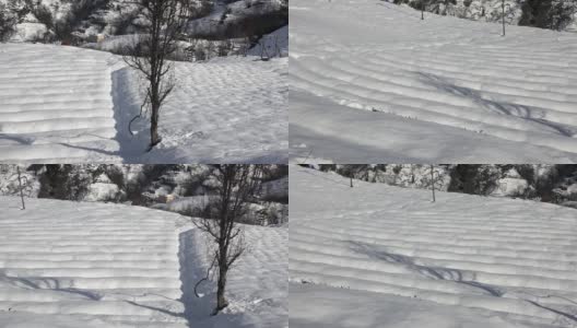 土耳其黎泽传统石屋前的白雪茶田高清在线视频素材下载