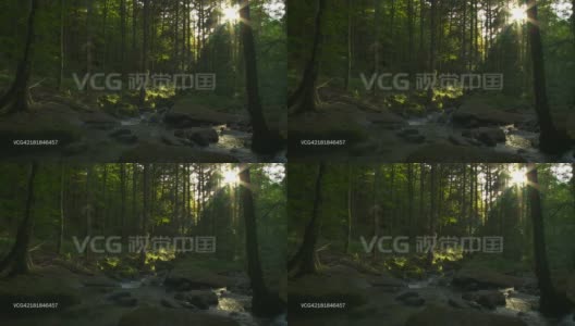 森林中的岩溪高清在线视频素材下载