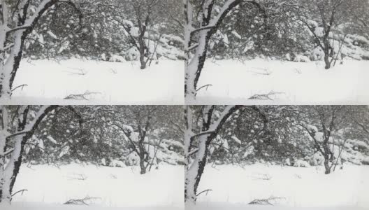 冬季景观(loopable)高清在线视频素材下载