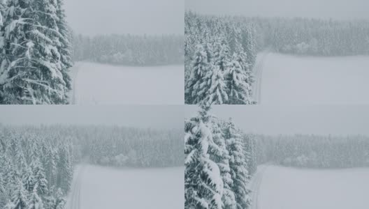 空中飞雪覆盖着树木，环绕着一条白色的森林道路高清在线视频素材下载