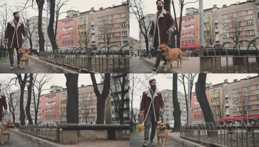 狗和他的主人在公园散步高清在线视频素材下载